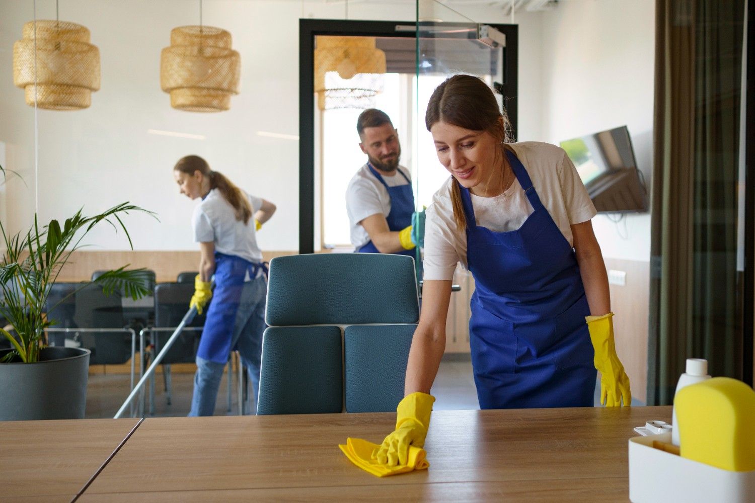 housecleaning